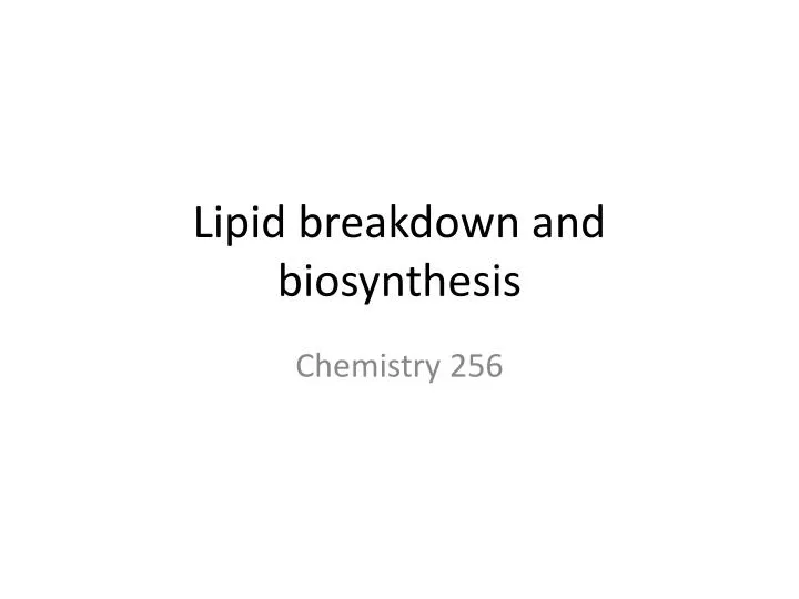 lipid breakdown and biosynthesis