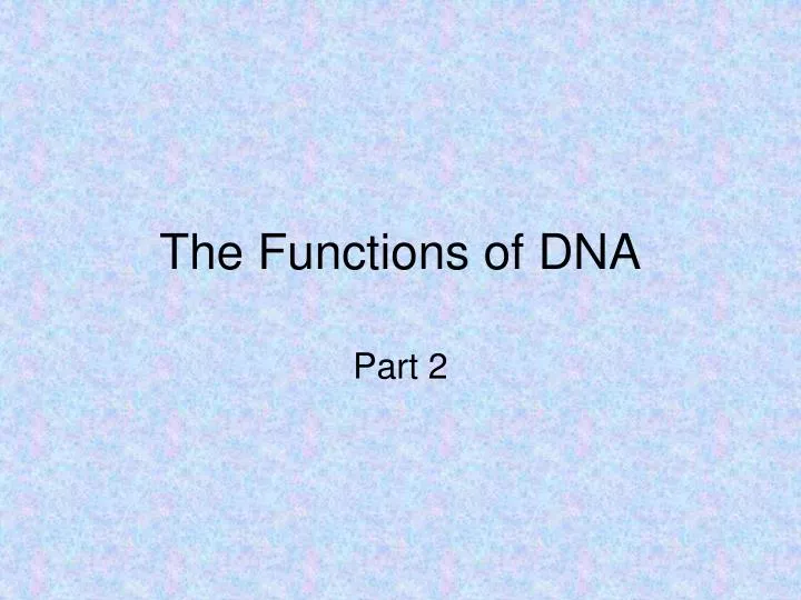 the functions of dna