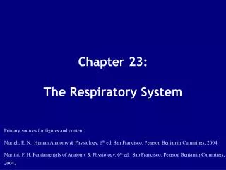 Chapter 23: The Respiratory System