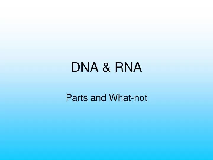 dna rna