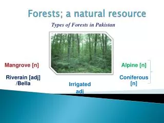 Forests; a natural resource