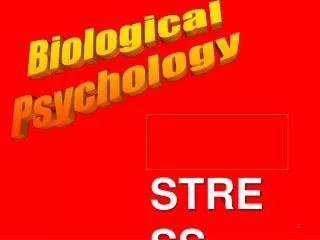 Biological Psychology