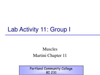 Lab Activity 11: Group I