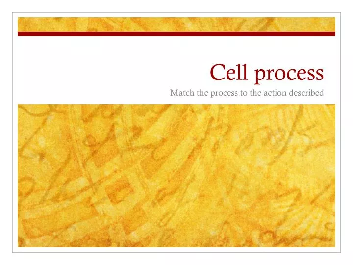 cell process