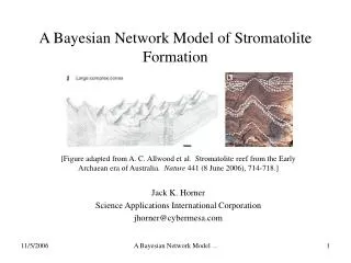 A Bayesian Network Model of Stromatolite Formation