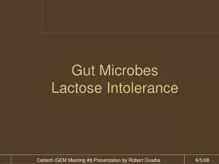 Gut Microbes Lactose Intolerance