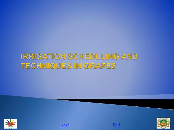irrigation scheduling and techniques in grapes