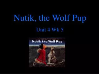 Nutik, the Wolf Pup Unit 4 Wk 5