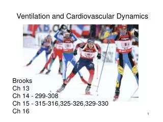 Ventilation and Cardiovascular Dynamics