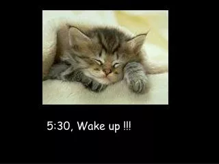 5:30, Wake up !!!