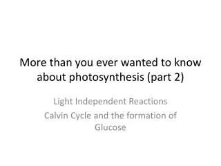 More than you ever wanted to know about photosynthesis (part 2)