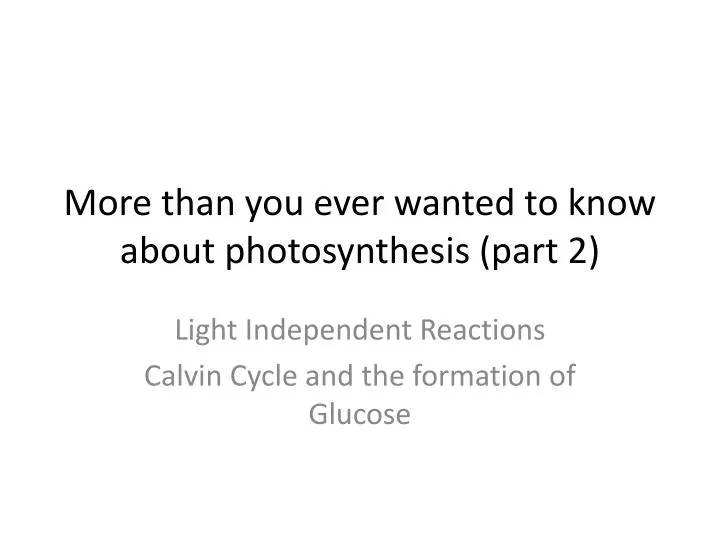 more than you ever wanted to know about photosynthesis part 2