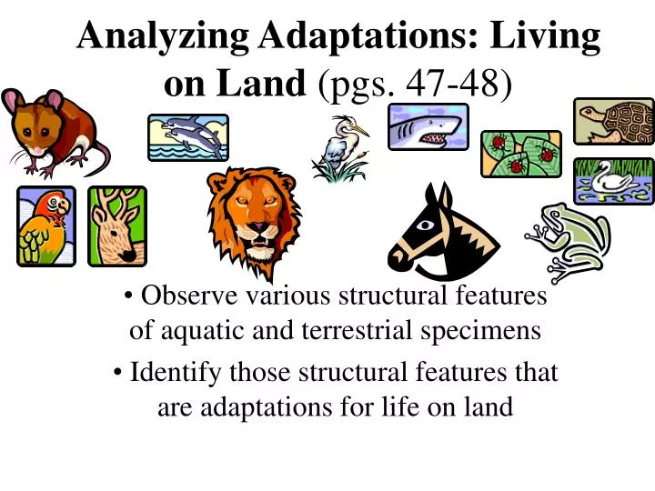 analyzing adaptations living on land pgs 47 48