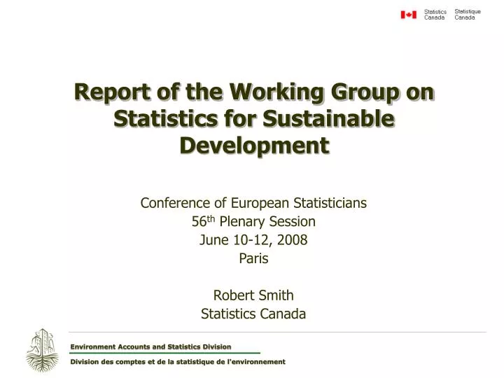 report of the working group on statistics for sustainable development