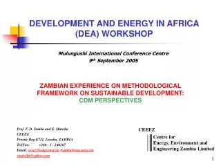 DEVELOPMENT AND ENERGY IN AFRICA (DEA) WORKSHOP