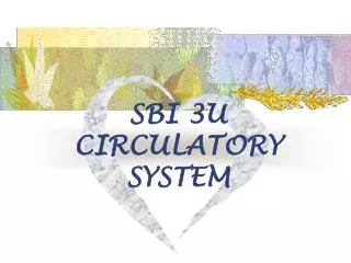 SBI 3U CIRCULATORY SYSTEM