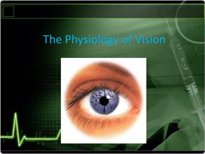 the physiology of vision