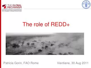 The role of REDD+