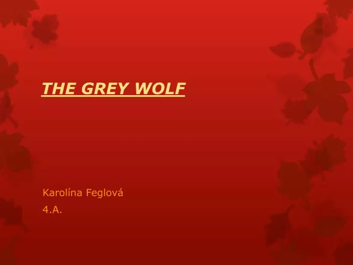 the grey wolf