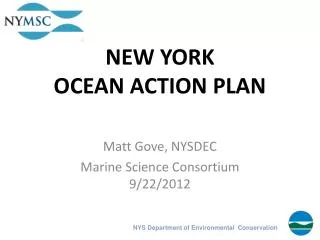 NEW YORK OCEAN ACTION PLAN