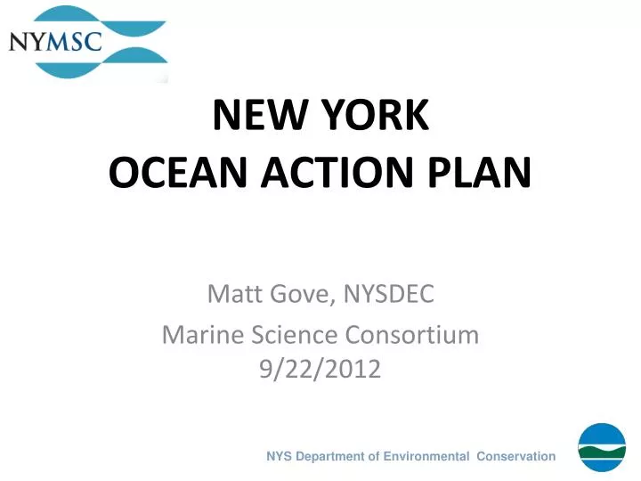 new york ocean action plan