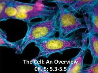 The Cell: An Overview Ch. 5; 5.3-5.5