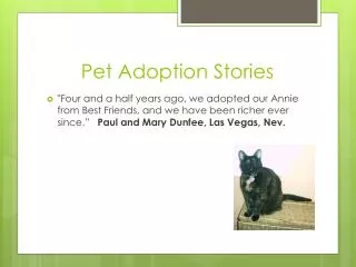 Pet A doption Stories