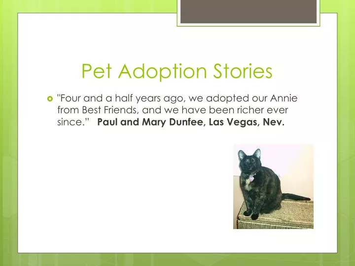 pet a doption stories