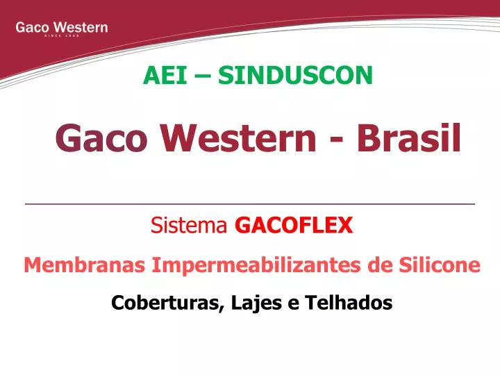 aei sinduscon gaco western brasil