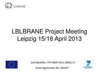 LBLBRANE Project Meeting Leipzig 15/16 April 2013