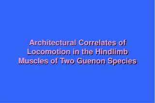 Architectural Correlates of Locomotion in the Hindlimb Muscles of Two Guenon Species