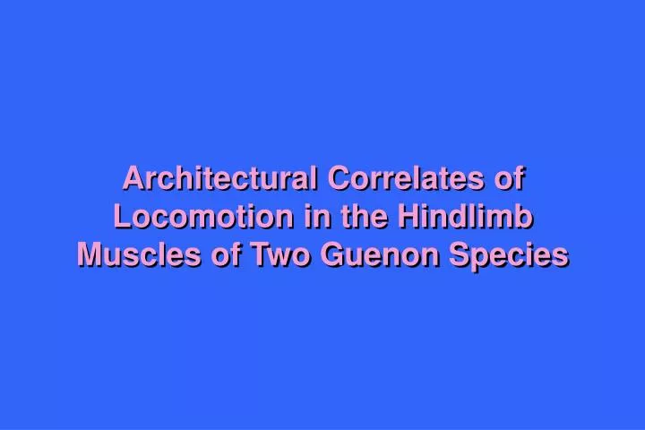 architectural correlates of locomotion in the hindlimb muscles of two guenon species