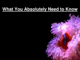 what you absolutely need to know