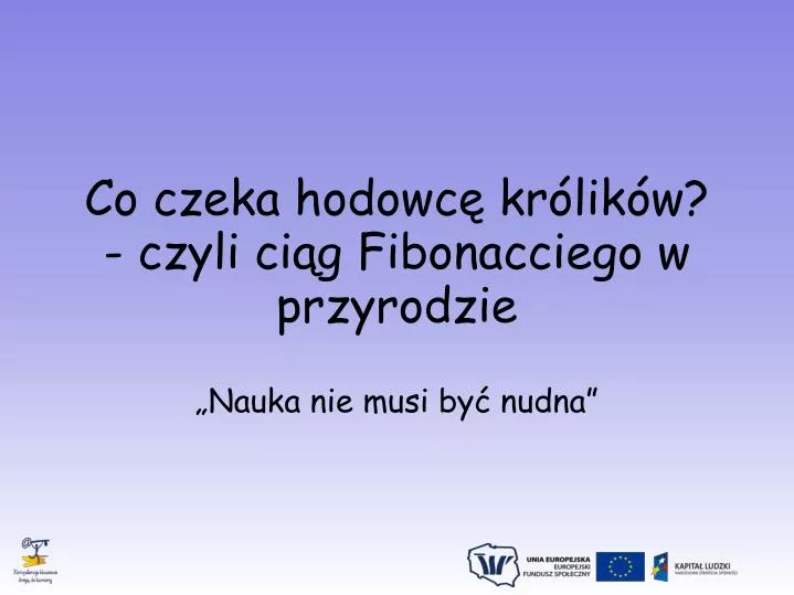 co czeka hodowc kr lik w czyli ci g fibonacciego w przyrodzie