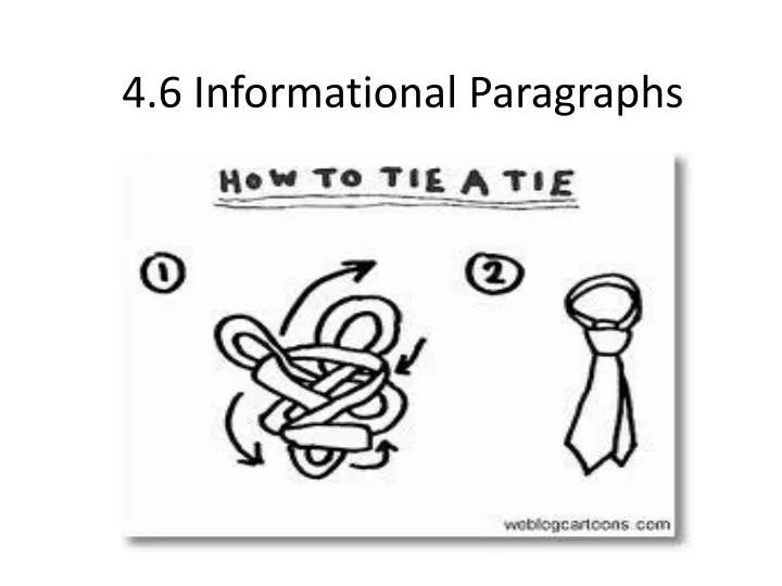 4 6 informational paragraphs