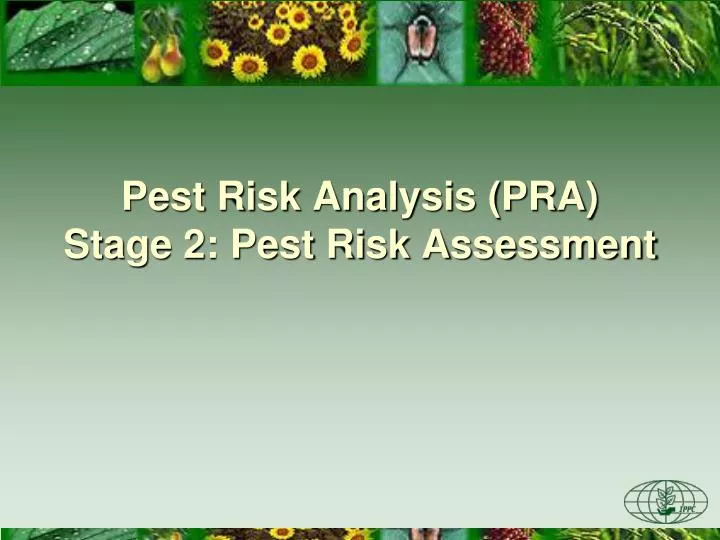 pest risk analysis pra stage 2 pest risk assessment