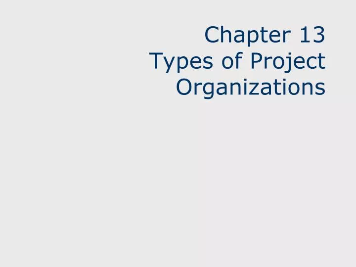chapter 13 types of project organizations