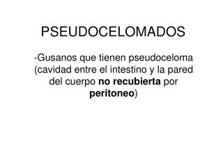 pseudocelomados