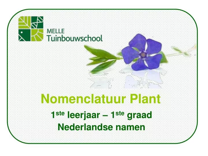 nomenclatuur plant