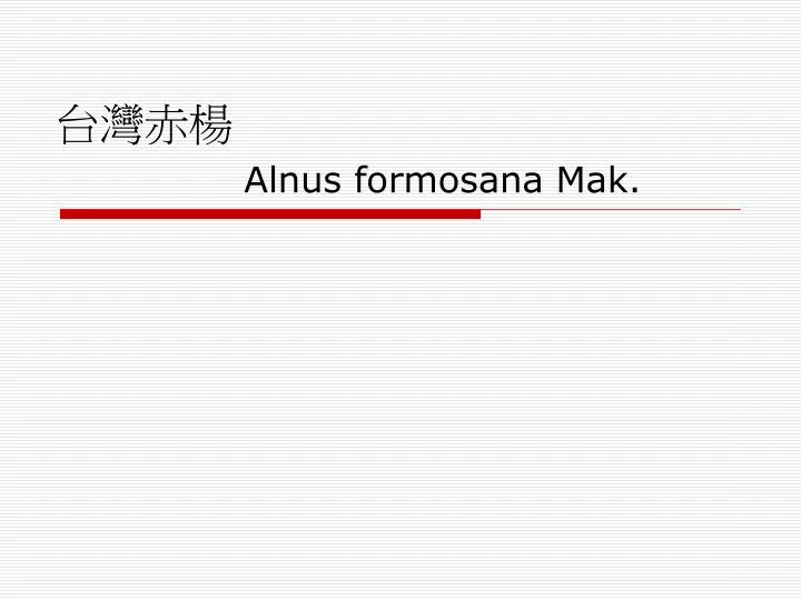 alnus formosana mak