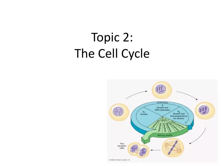 topic 2 the cell cycle