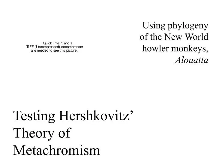 testing hershkovitz theory of metachromism