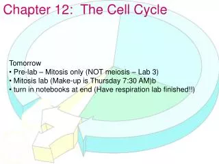 Chapter 12: The Cell Cycle