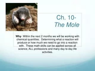 Ch. 10- The Mole