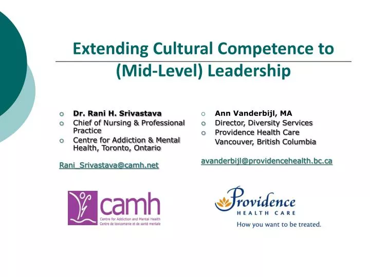 extending cultural competence to mid level leadership