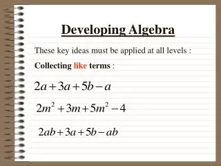 Developing Algebra