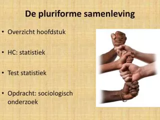 de pluriforme samenleving