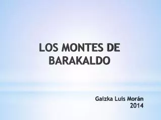gaizka luis mor n 2014