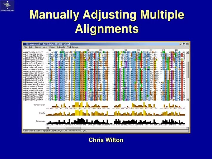 manually adjusting multiple alignments