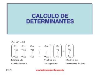 calculo de determinantes